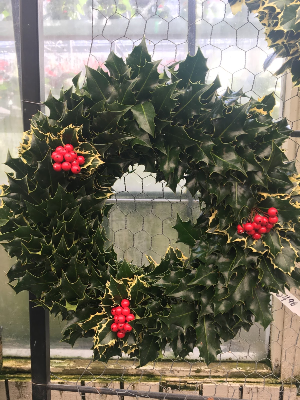 Moments of Delight...Anne Reeves Holly Wreaths Incredible Old World