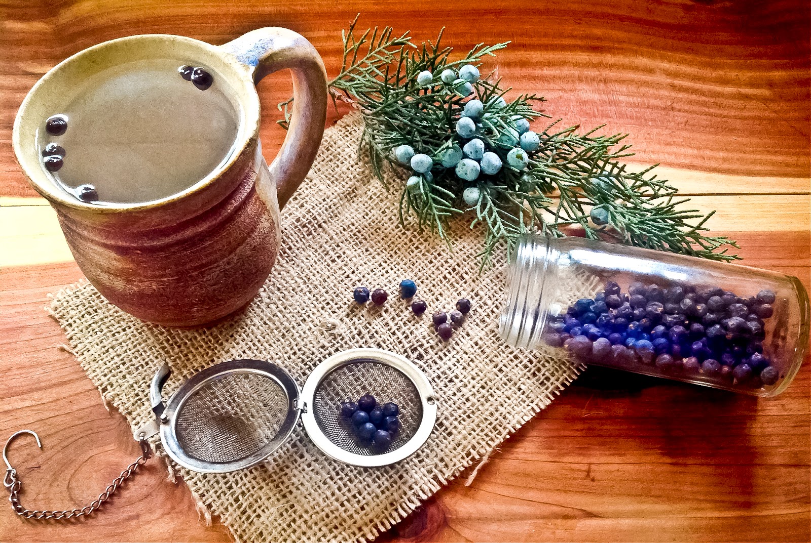 Mother Nature Alliance Herbalism The Juniper Berry Uses 101