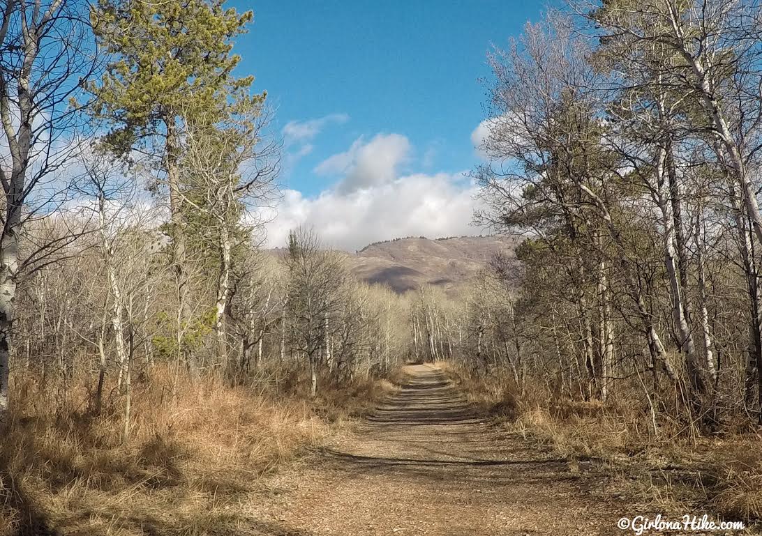 Hiking the Sardine Peak Loop, Snowbasin Girl on a Hike