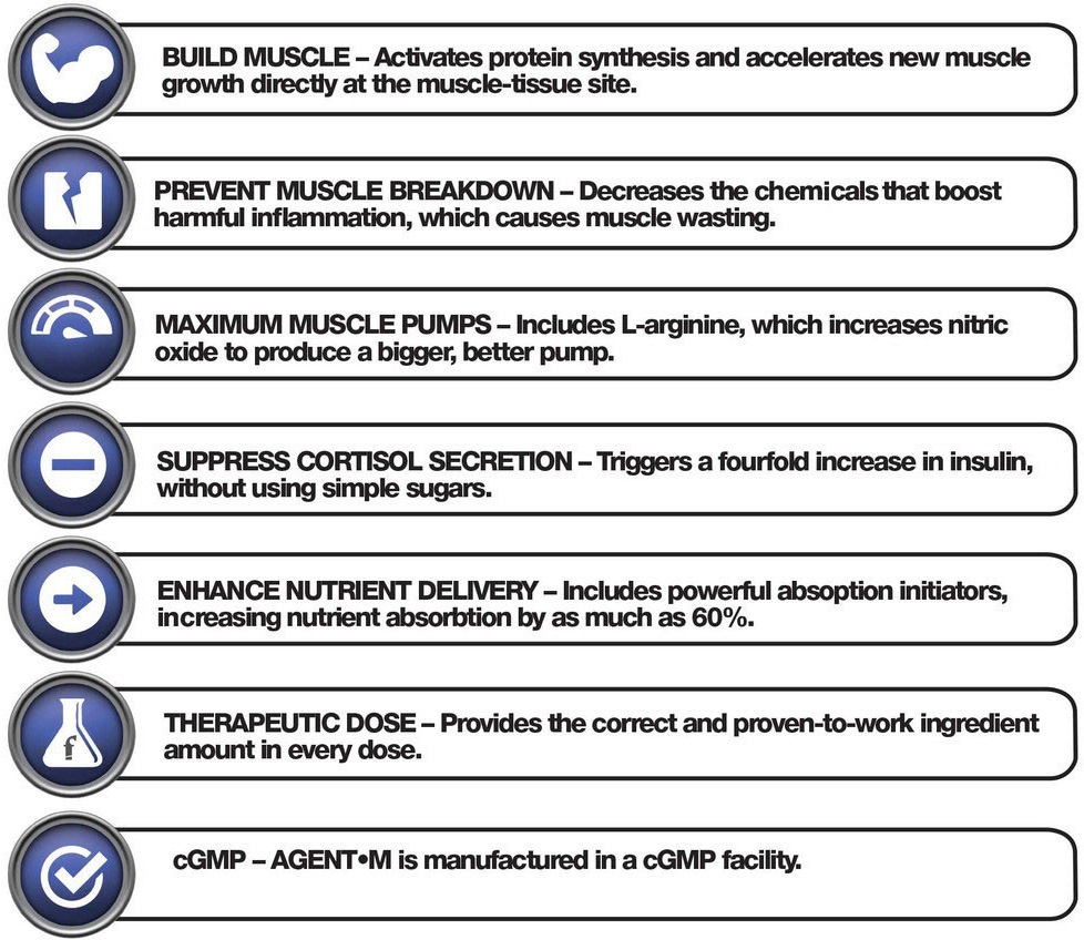 Good Health & Nutrition by Odra BCAAs Activates Protein Synthesis