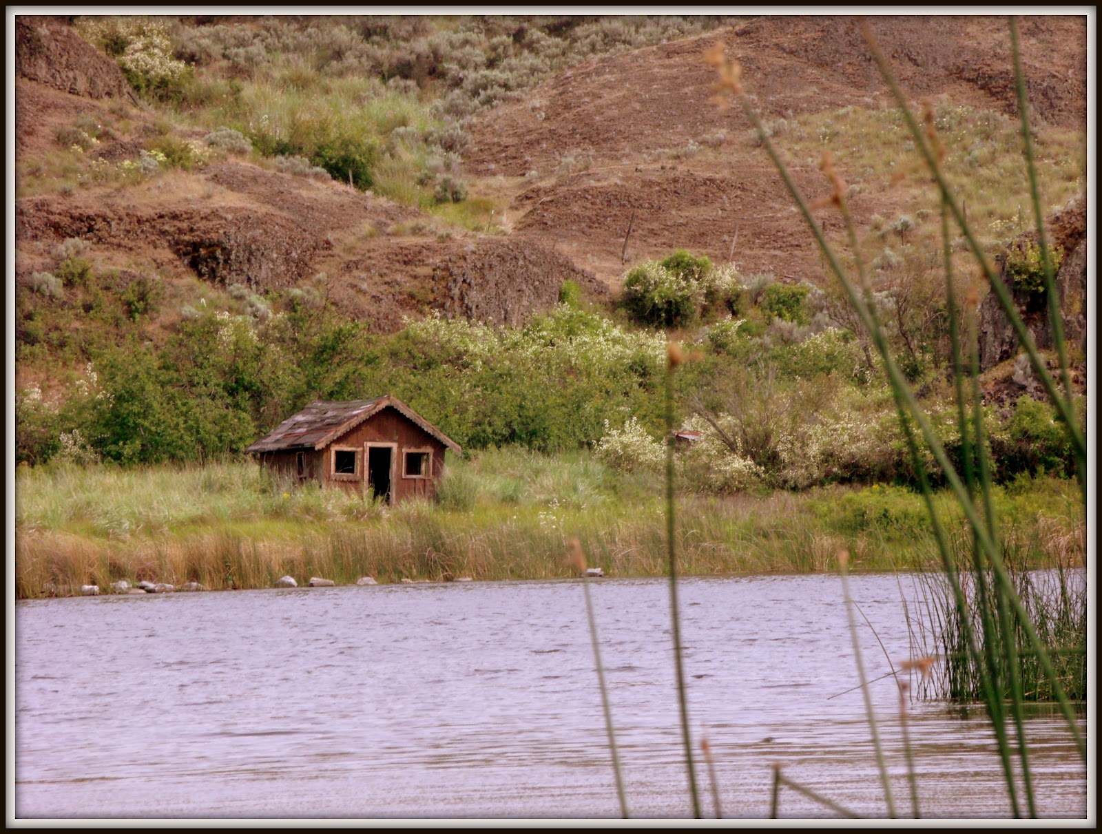 The Back Porch View: Old Homesteads and Rattlesnake Hunters