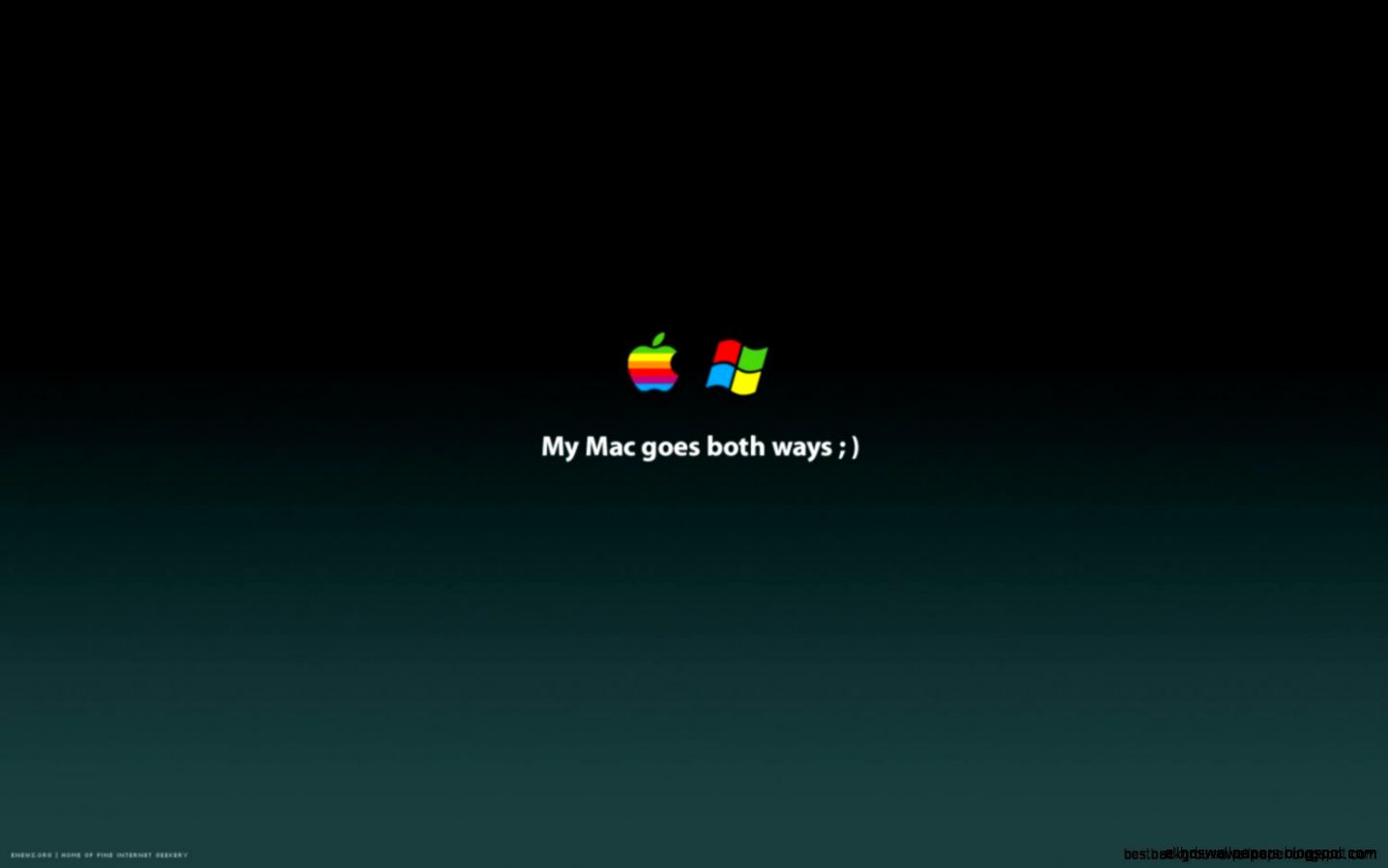 Microsoft Animated Screensavers Wallpaper  Best Background Wallpaper