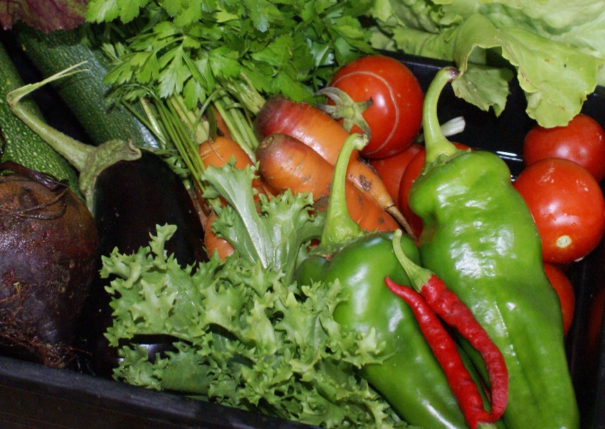 A Green and Rosie Life Veg, Fruit and Foraged Foods in Season in September