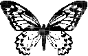 butterfly023.gif
