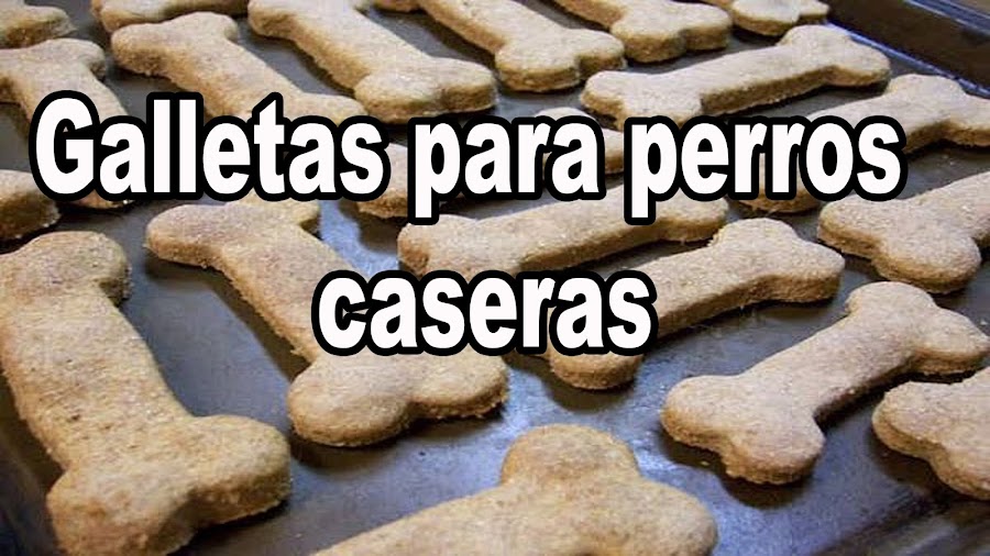 galletas caseras para perros