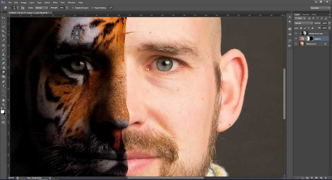 grafik tasarim programlari blog