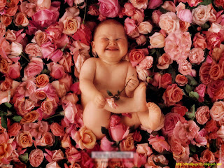 baby, cute babies, babys, baby flower, images,