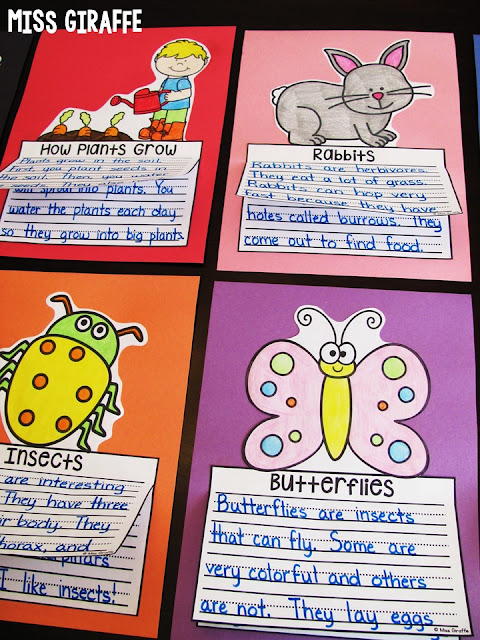 Insect Writing Paper - Have Fun Teaching