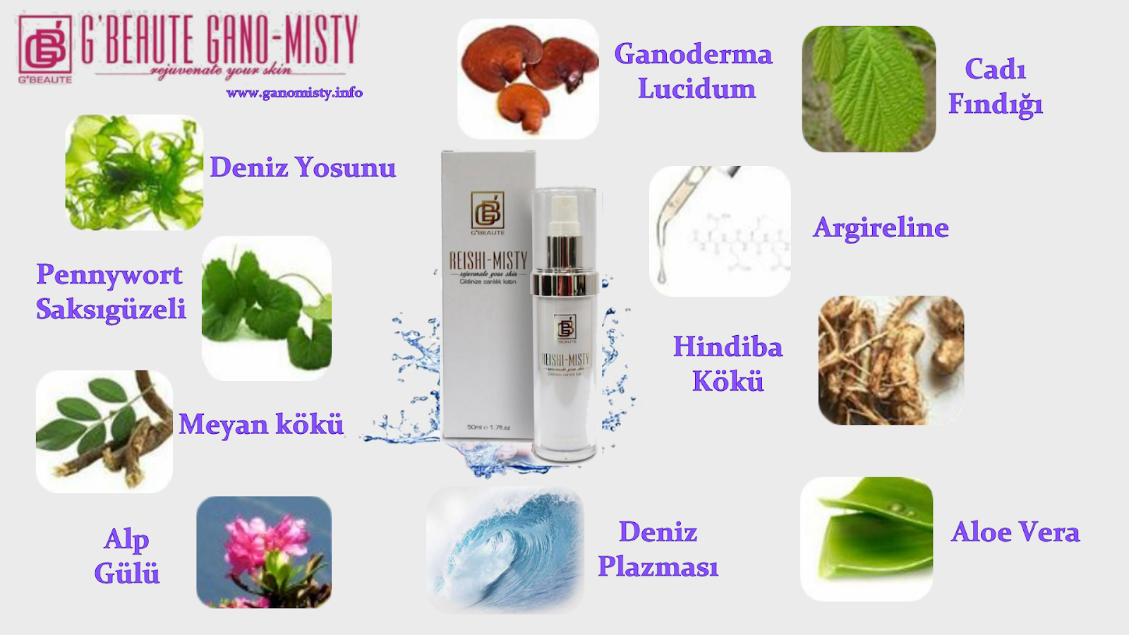 Reishi Misty Gano Excel Gano Excel Kahve Coffee