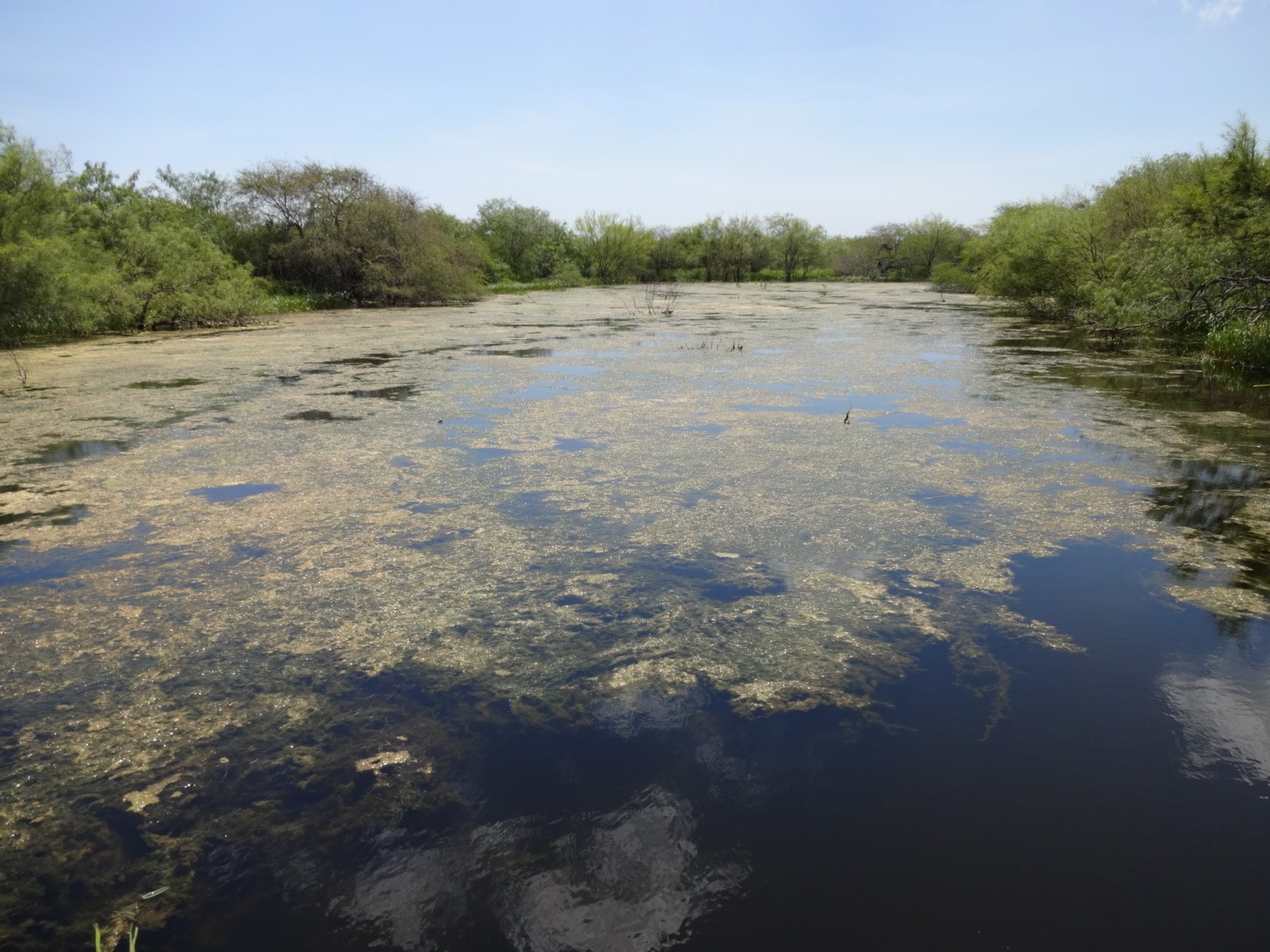 My Perceptions Of The Watersheds In The Rio Grande Valley Laguna