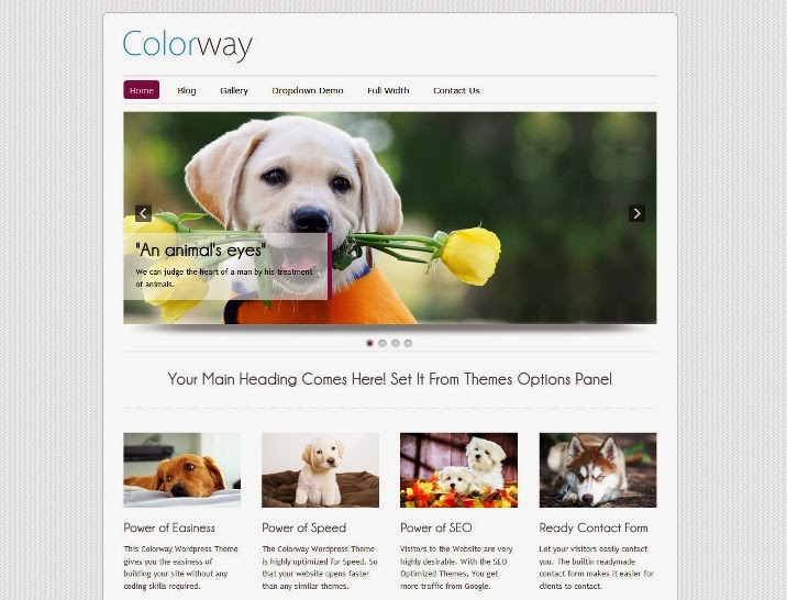 Colorway Animal & Pets WordPress Theme
