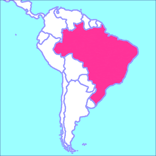 Jacarandá Brasil