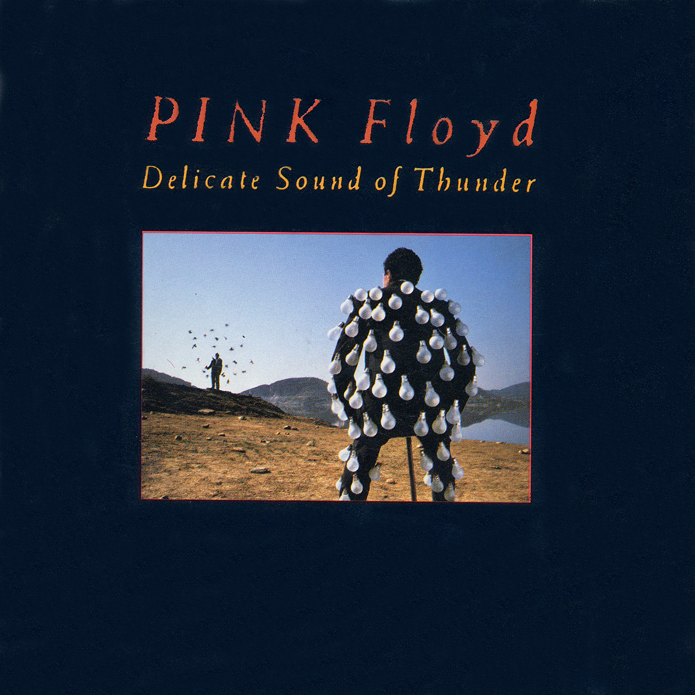 Pink Floyd Delicate Sound Of Thunder 1988 EL BUS MAS ROCK-POP: BIOGRAFIA PINK FLOYD "Programa 355"