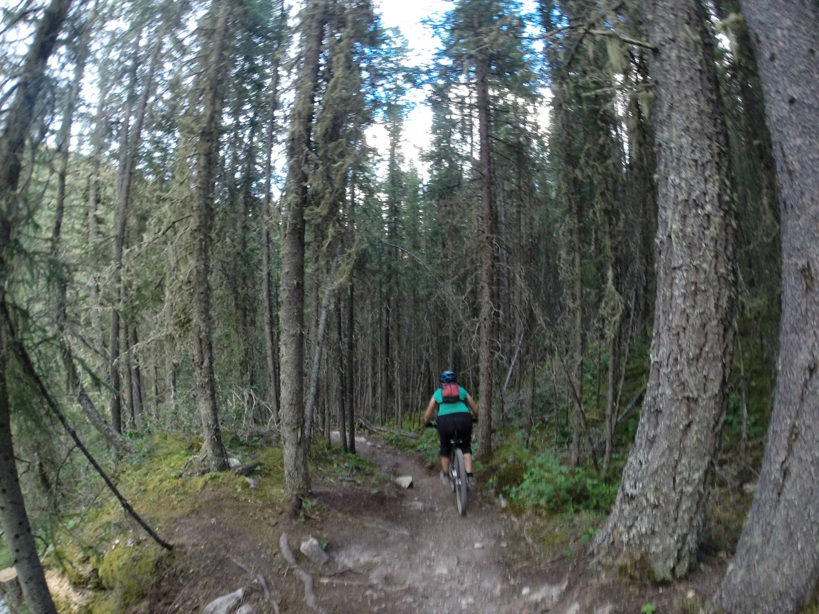 escapando el finde Jewell Pass, mountain bike, Kananaskis Country
