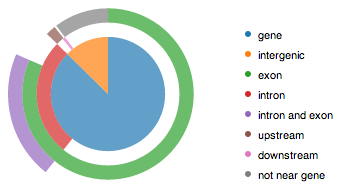 Multi Layer Pie Chart