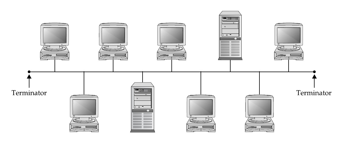 3.2. Bus Topology ~ Networking