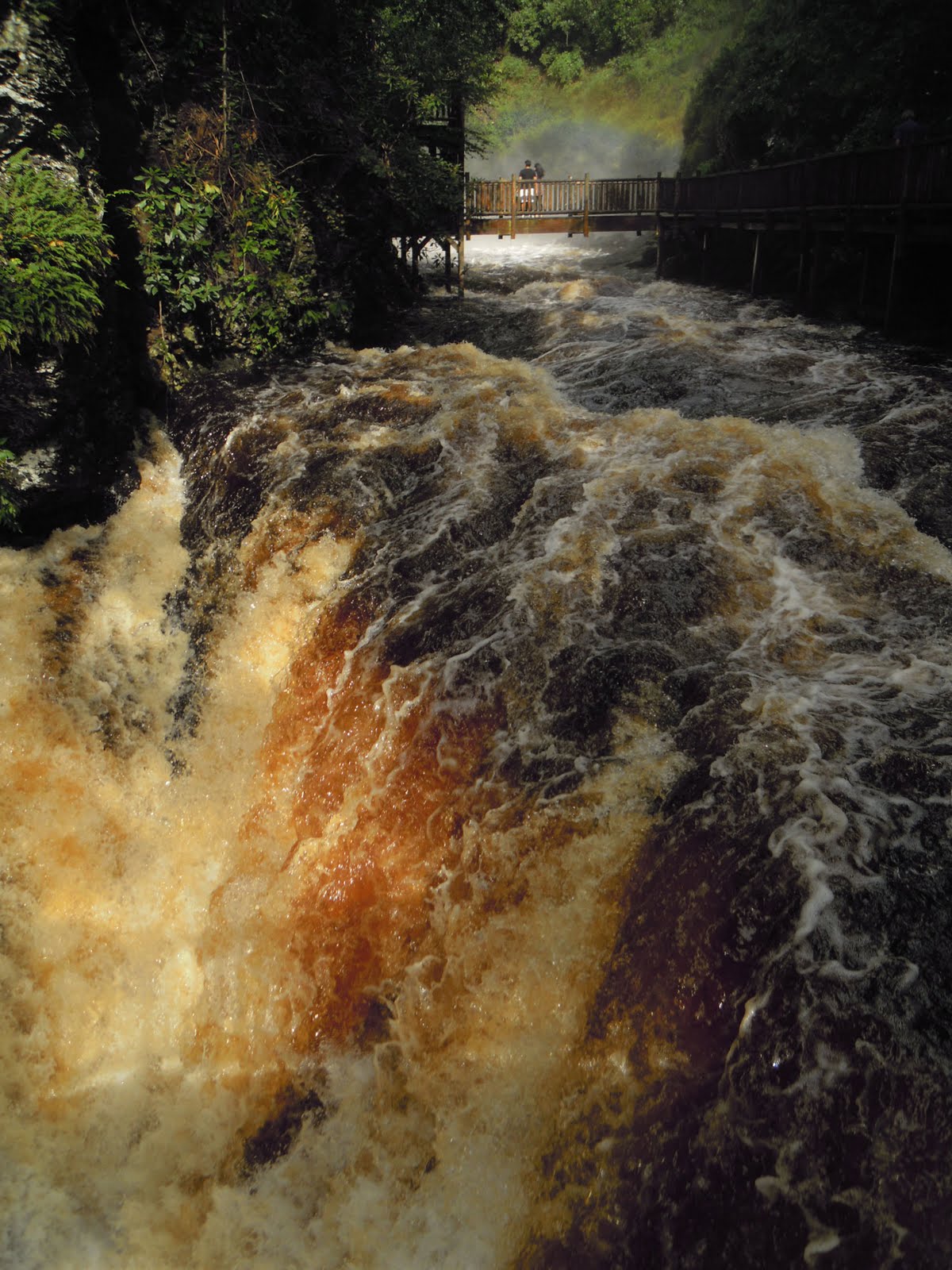 武@new york: Bushkill Falls, PA