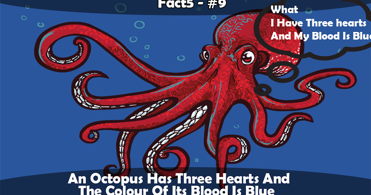 Since A Octopus Has 3 Hearts, Does That Mean They Fall In Love 3 Times As Fast