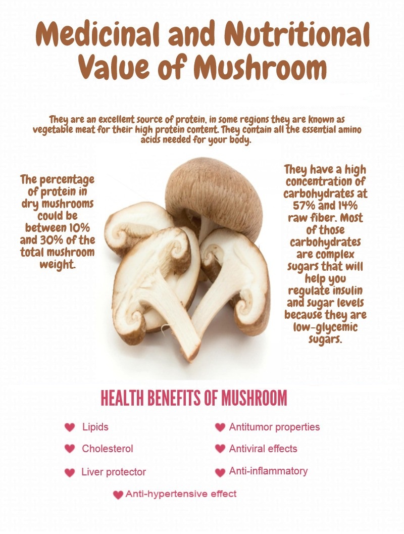 Amazing Health Benefits of Eating Mushrooms Is Mushrooms Good for You