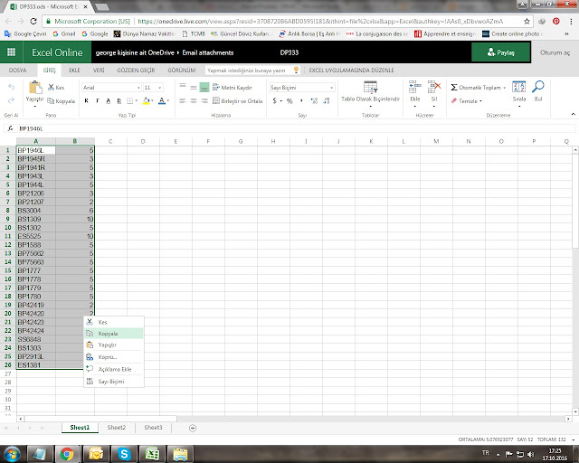Forma De Bir 1604-e Excel