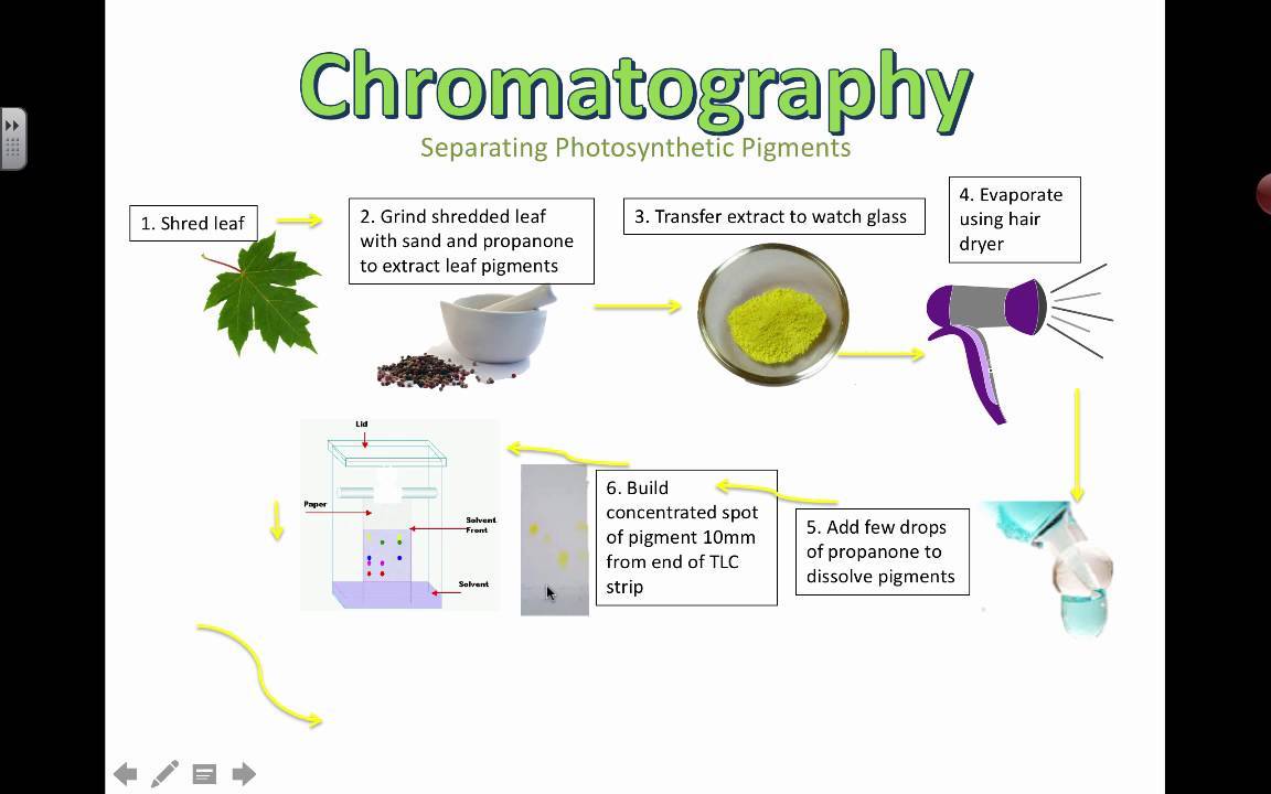 Chromatography