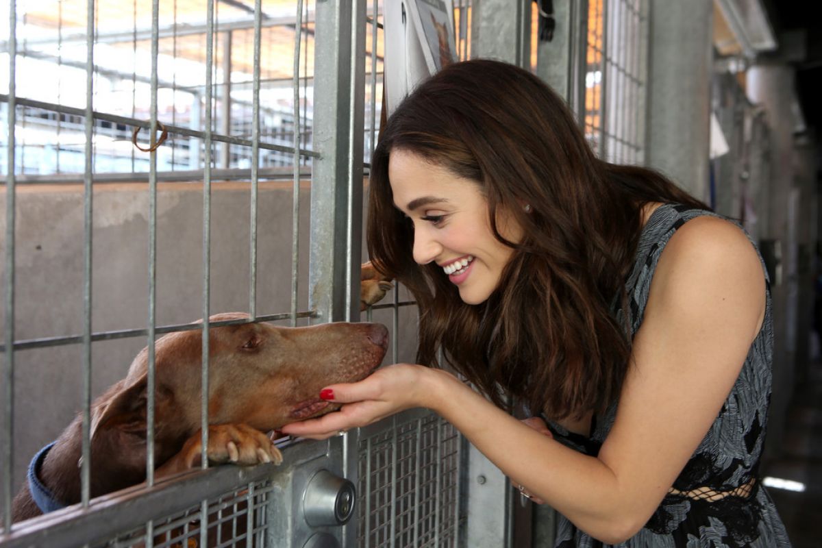 Emmy Rossum || Microsoft and Best Friends Animal Society Upgrade Your