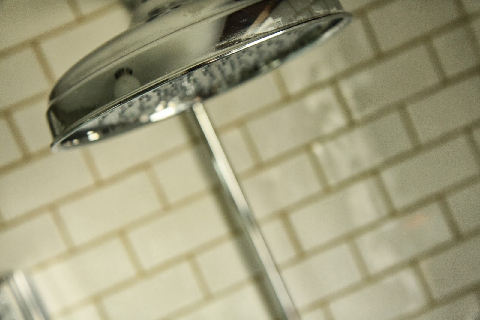 Modern Country Style The Best Shower In The World?