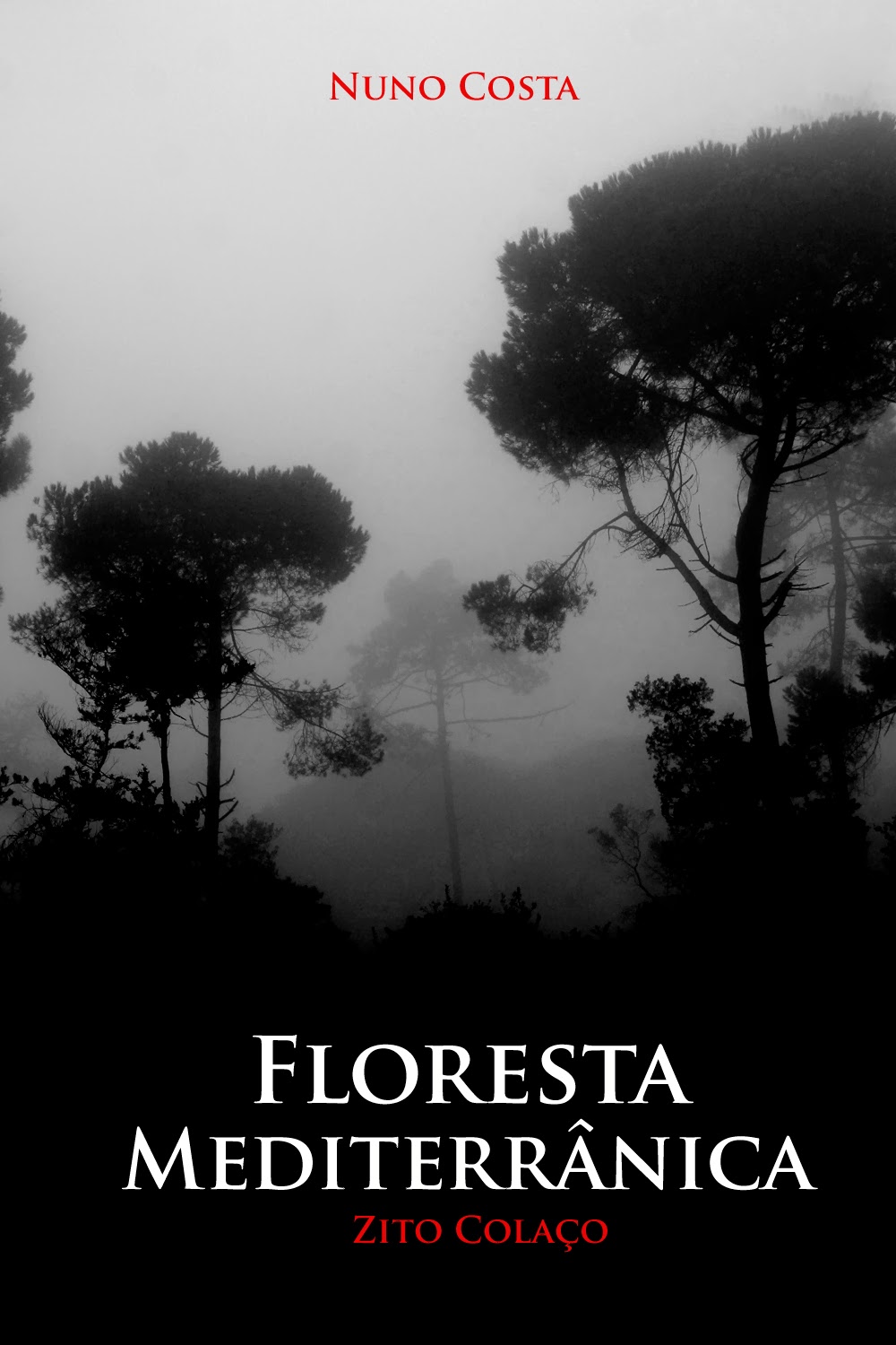 Livro Floresta Mediterrânica