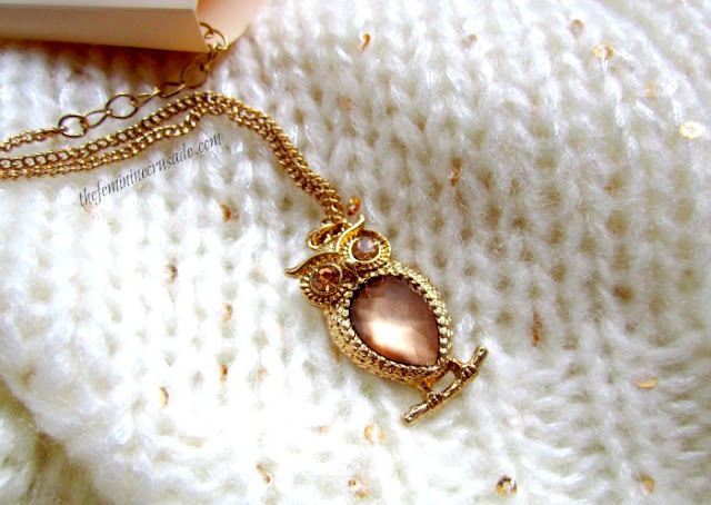 Picture of Forever 21 Owl Necklace