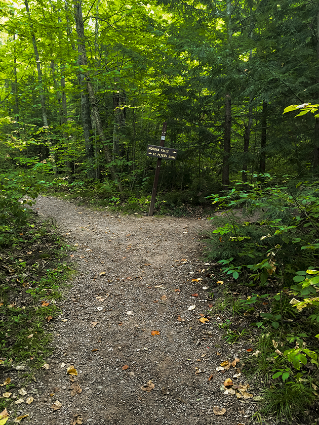 Trail intersection with spur to Morgan Falls