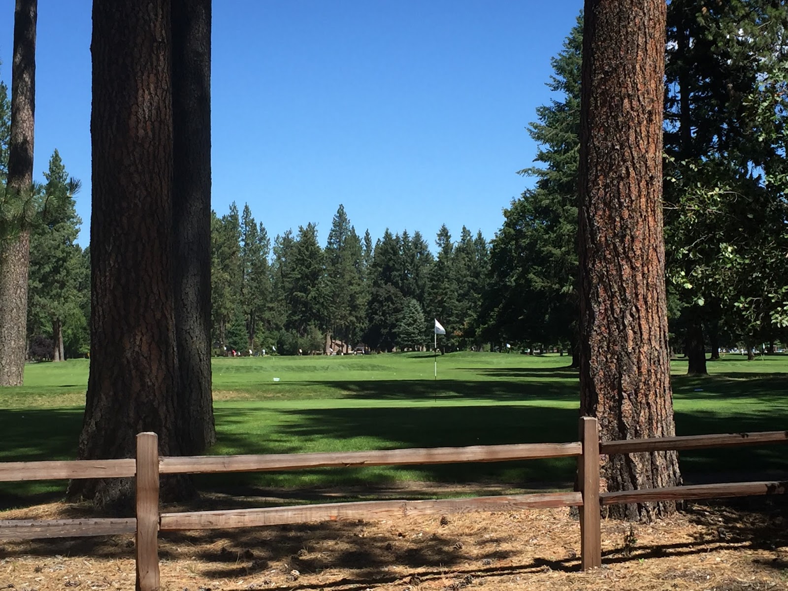 Tosh Lanquist Local Information on Hayden, Idaho