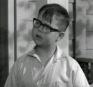 Television's New Frontier: The 1960s: My Three Sons (1961)