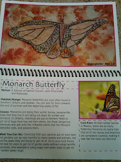 Image of information guide on monarch butterfly's 