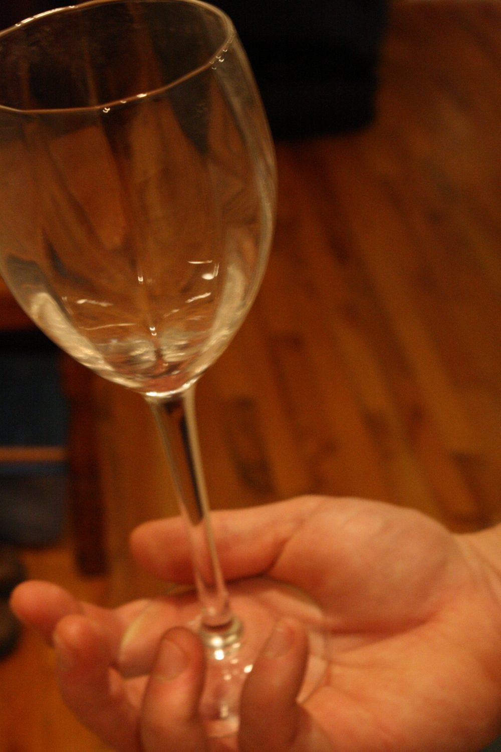 Speaking the Local Vinacular HowTo Hold a Wine Glass Properly