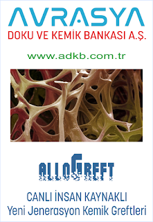 Resim