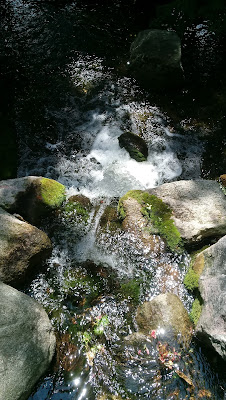 Graham Sedam, blog, thoughts, life, interests, writing, University of Minnesota Arboretum, waterfall, water, rocks, moss 