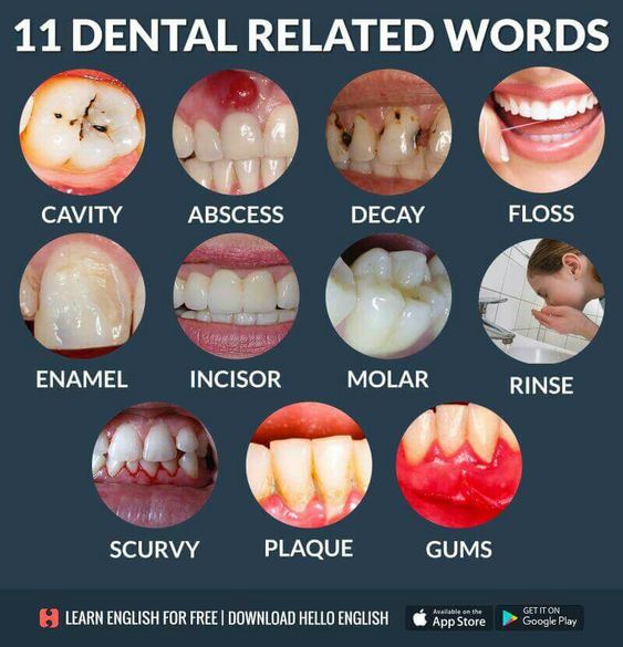 เรียนภาษาอังกฤษ ความรู้ภาษาอังกฤษ ทำอย่างไรให้เก่งอังกฤษ Lingo Think in