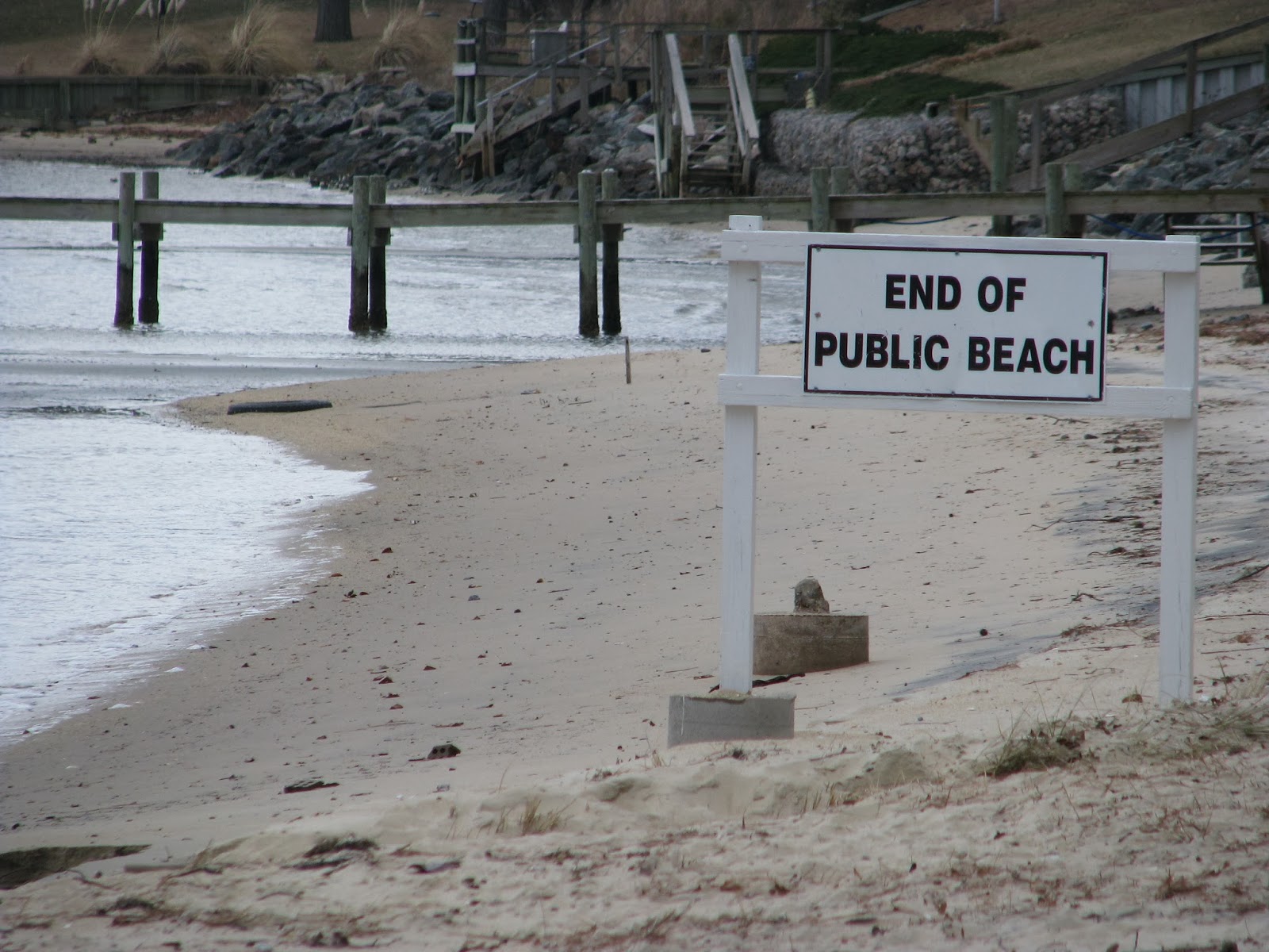 Life in Mathews Piankatank River