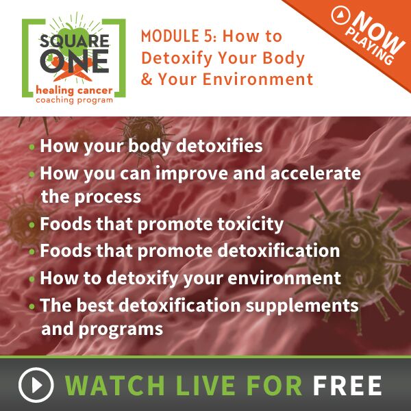 MessiahMews Blogs: Chris’ Healing Cancer Program: SQUARE ONE Module 5 ...