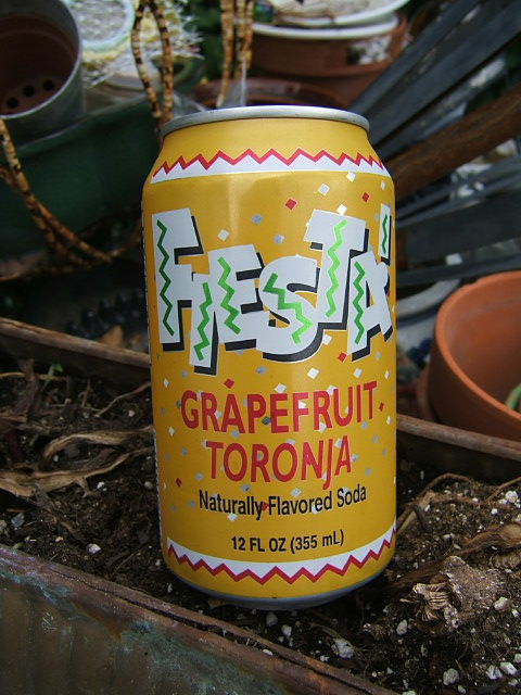 Review the World: Gross Expired Soda Taste Testing