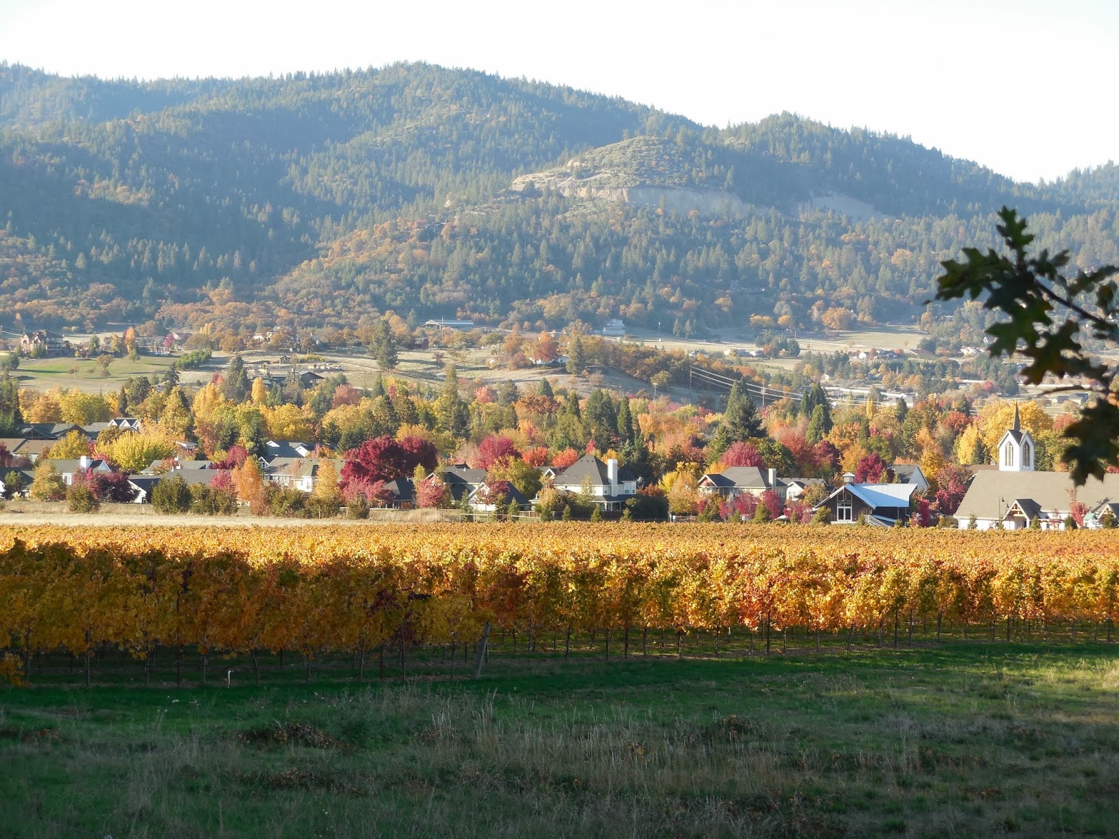 Xlentcrap Crisp Ride