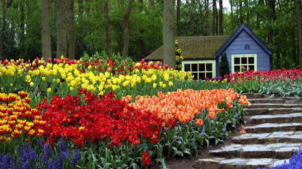 The Nice Park Bandung Tempat Wisata Terbaik untuk Liburan Akhir Pekan