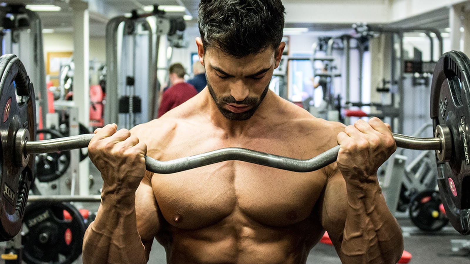 Muscle Gains Zone: 5 EXERCISES FOR BIGGER ARMS