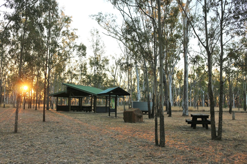 National Park Odyssey Lake Murphy Conservation Park, QLD.