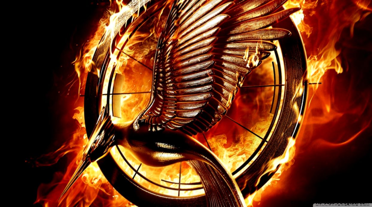 63 The Hunger Games Catching Fire HD Wallpapers  Backgrounds