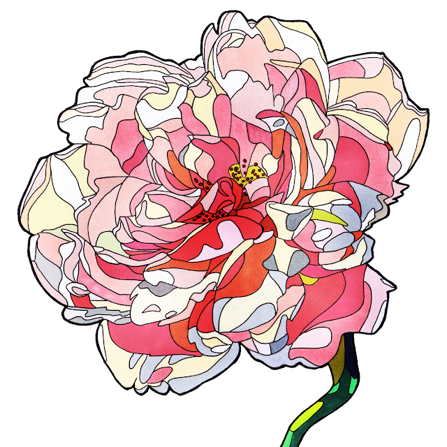 big-pink-flower