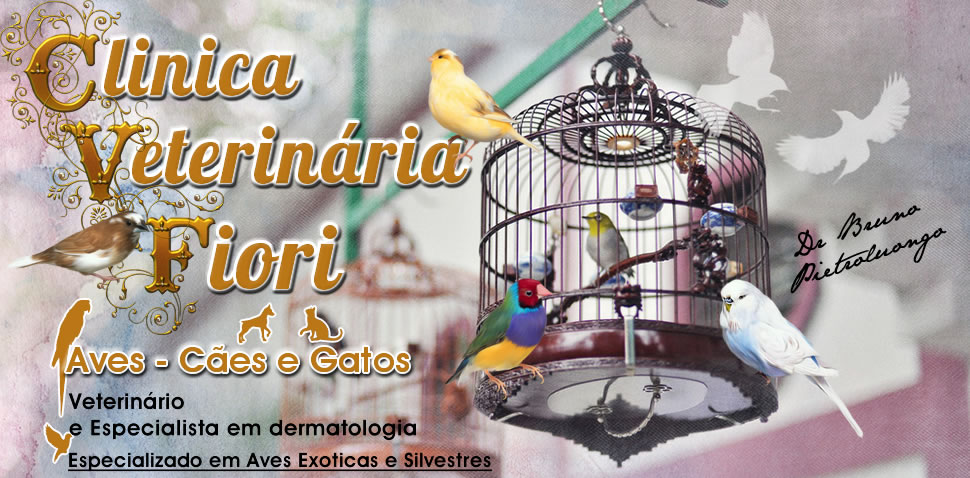 Veterinário de Aves Exóticas e Silvestres.