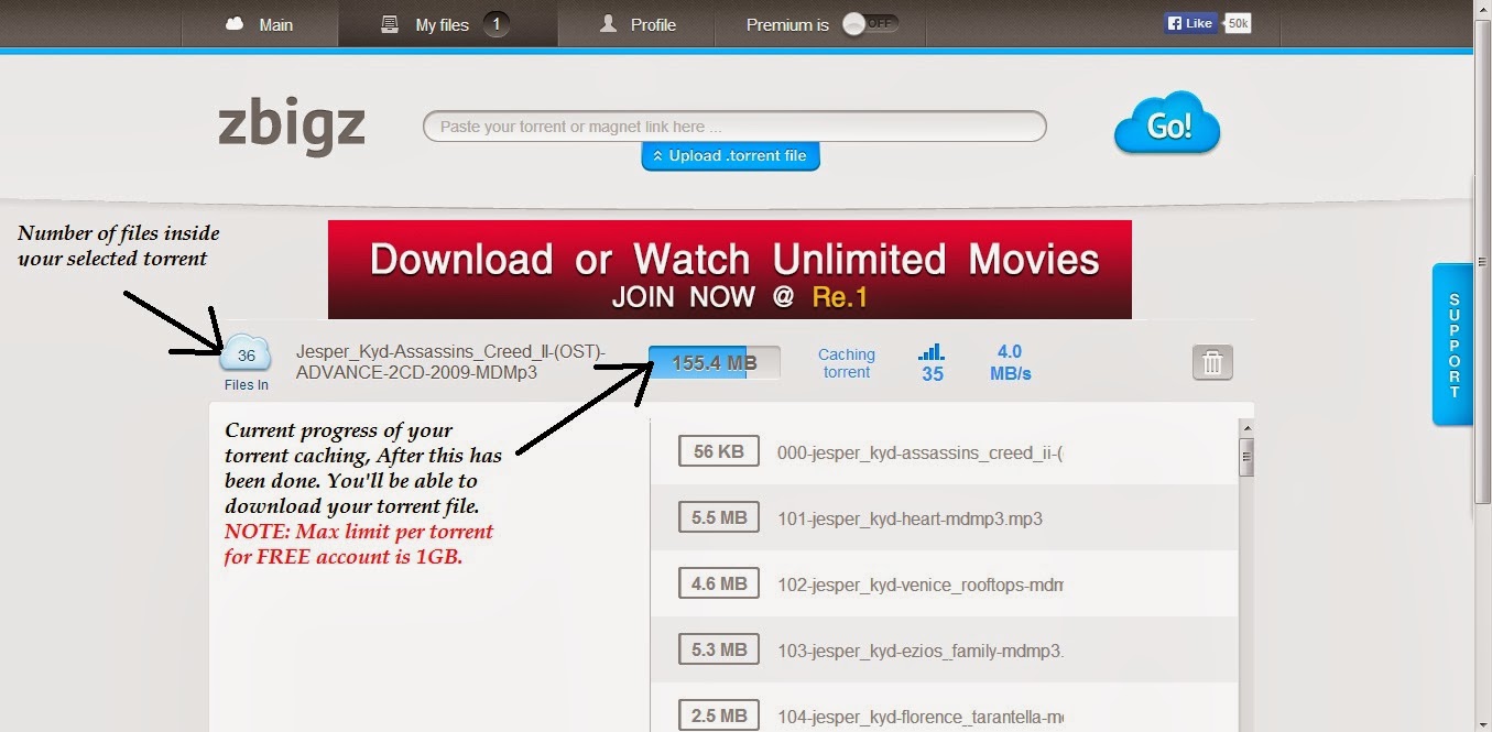download torrent online without software
