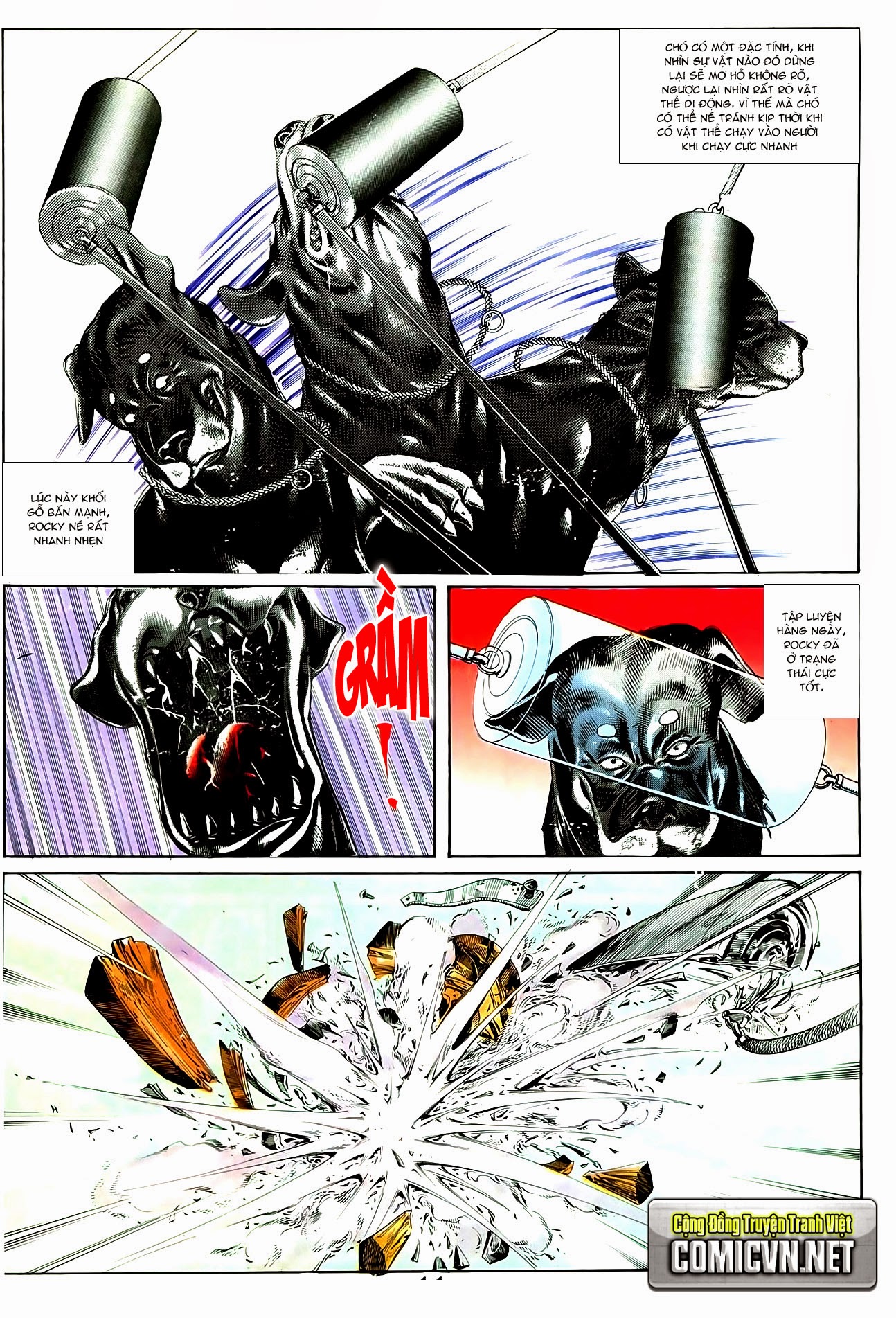 Người Trong Giang Hồ chap 49 - Trang 12