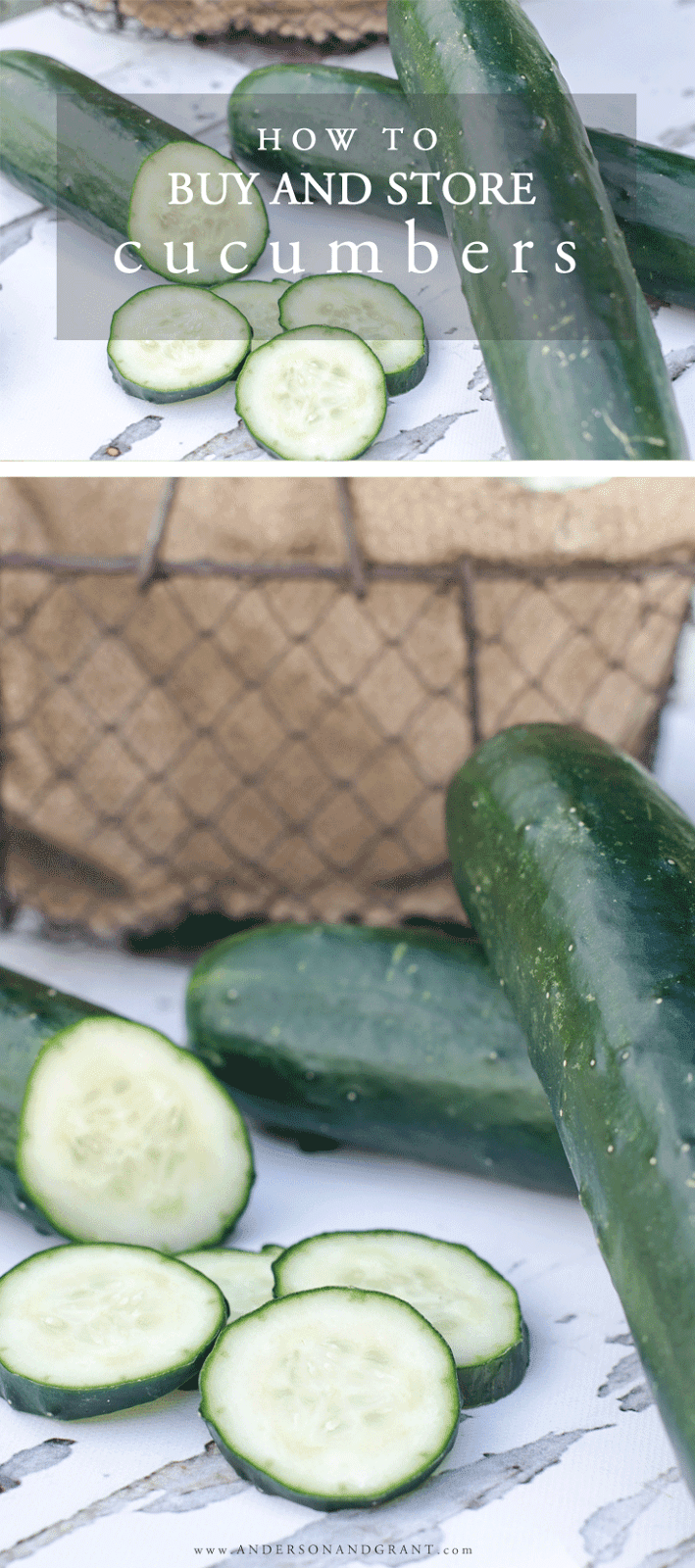 Learn how to choose the best cucumbers at the market and how to store them once you bring the fruit home.  |  www.andersonandgrant.com
